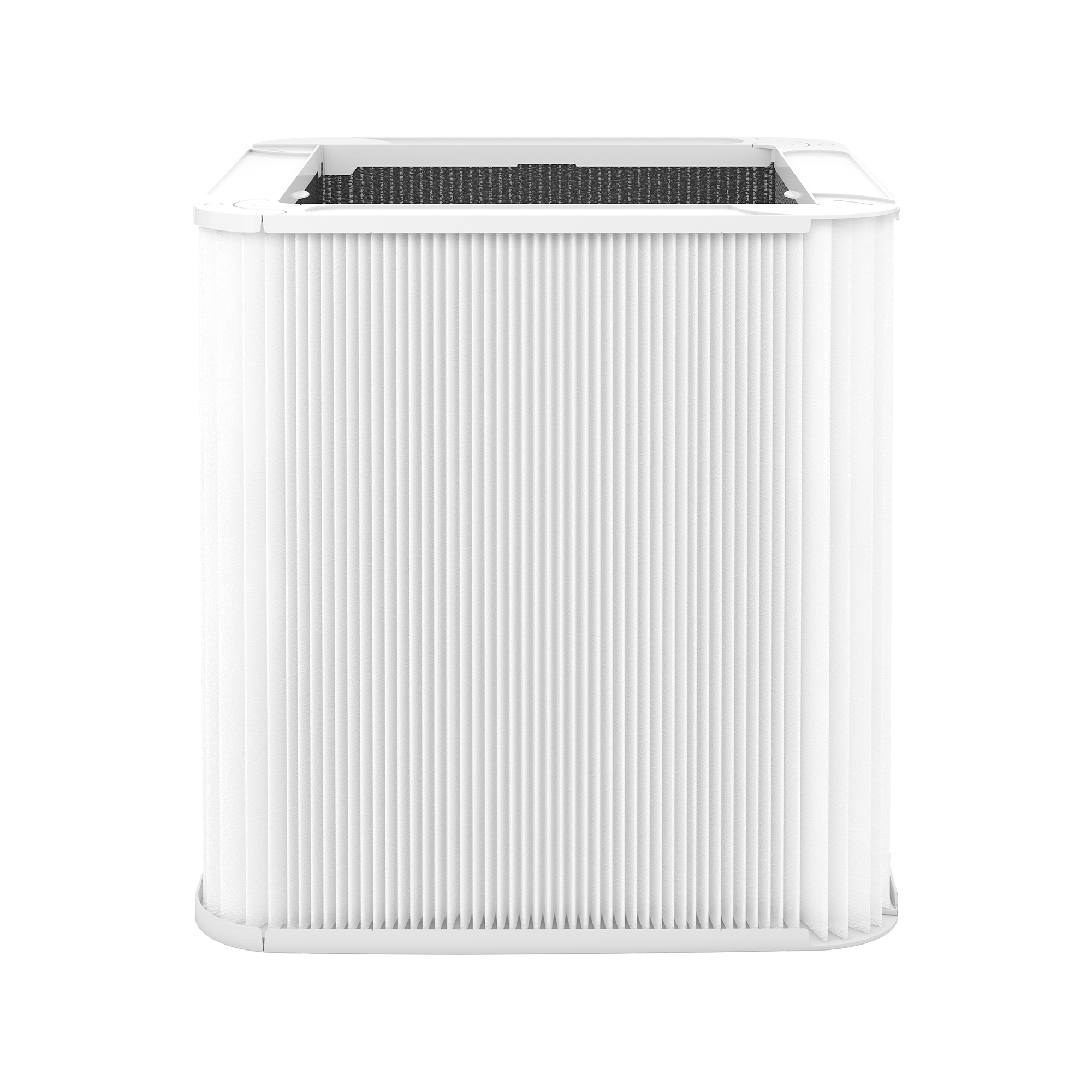 Blue 3610 Particle + Carbon Replacement Filter